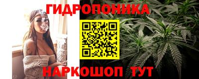 ПСИЛОЦИБИНОВЫЕ ГРИБЫ Уссурийск