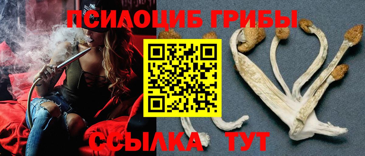 Нягань  Галлюциногенные грибы GOLDEN TEACHER  Вход с VPN  Галлюциногенные грибы MAGIC MUSHROOMS 